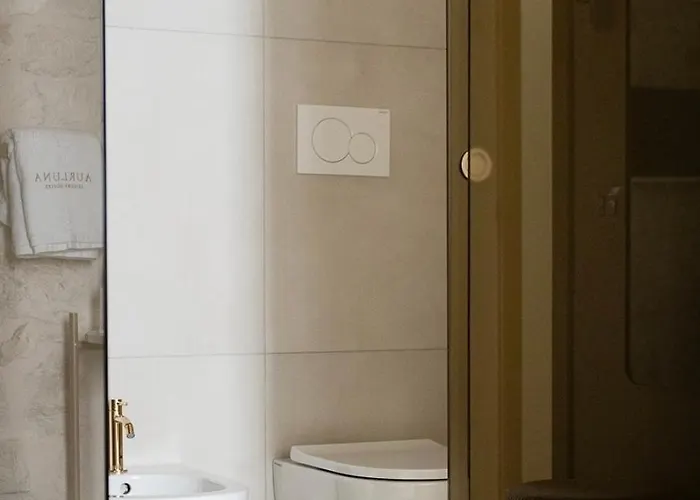 Aurluna Luxury Готель типу 